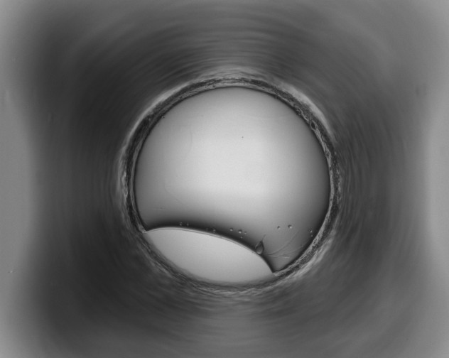 X0000100320973200806051346
