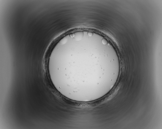 X0000100320974200806051346