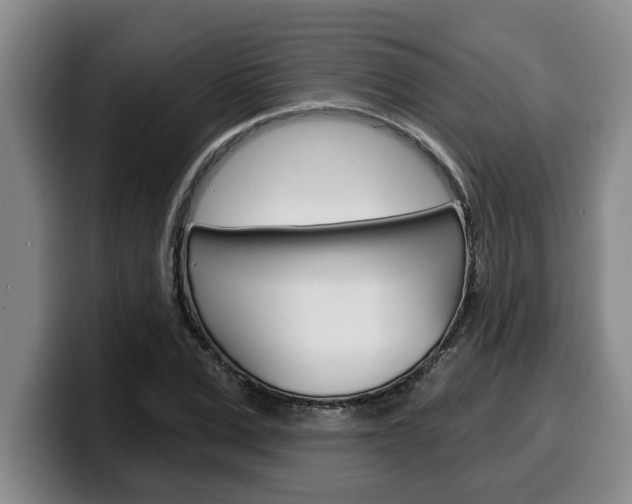 X0000100320975200806051346