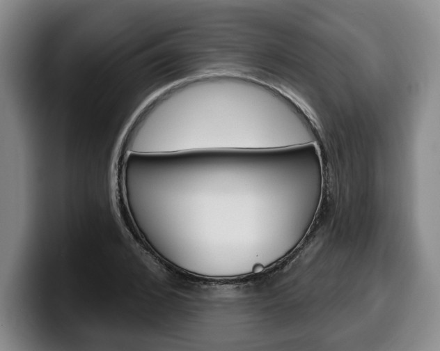 X0000100320976200806051346
