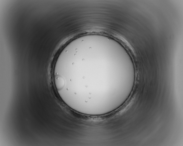 X0000100320978200806051346
