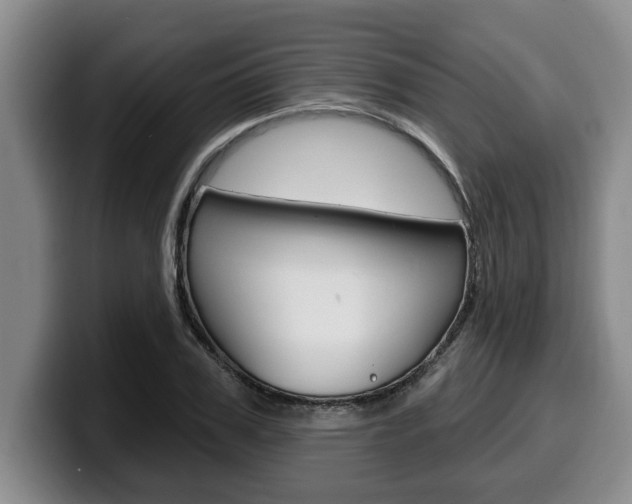 X0000100320979200806051346