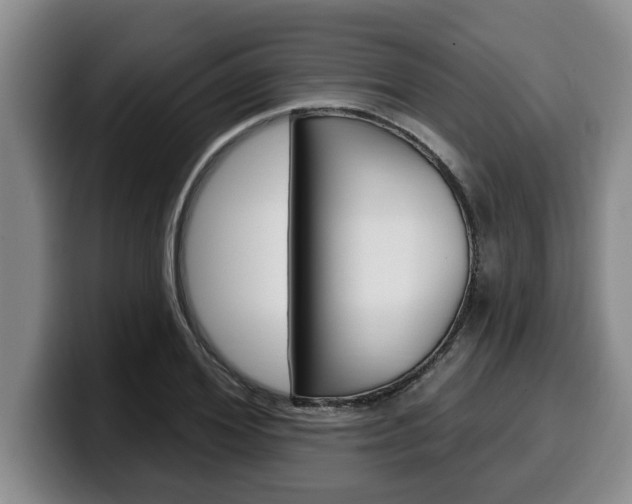 X0000100320980200806051346