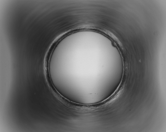 X0000100320981200806051346