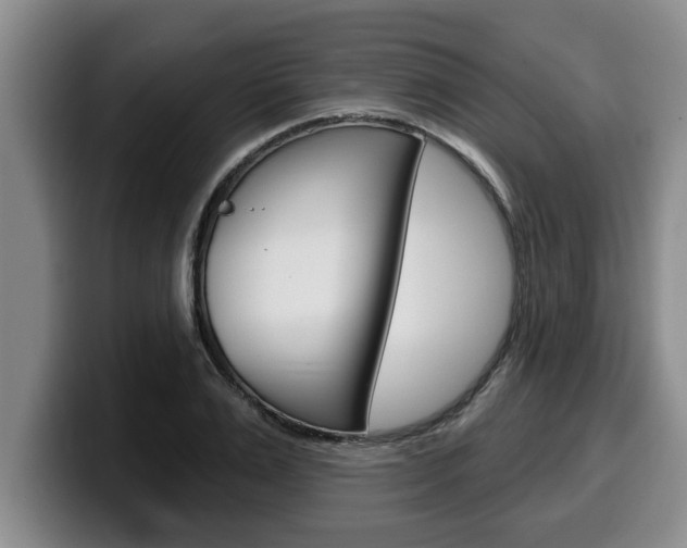 X0000100320983200806051346