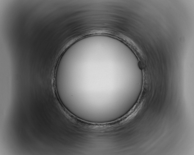 X0000100320985200806051346