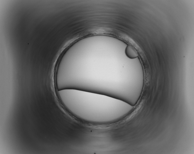 X0000100320986200806051346