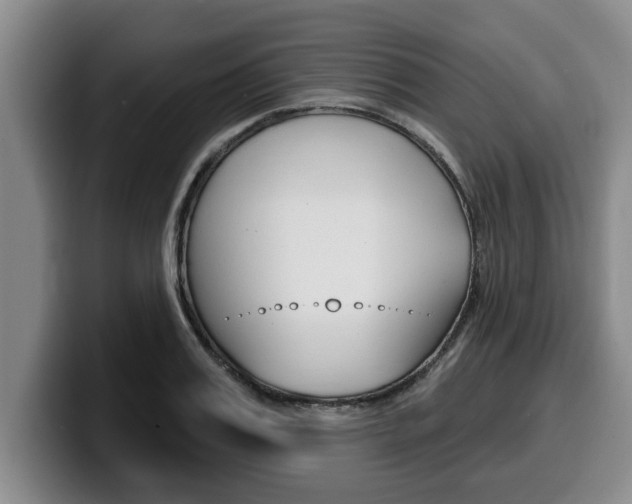 X0000100320987200806051346