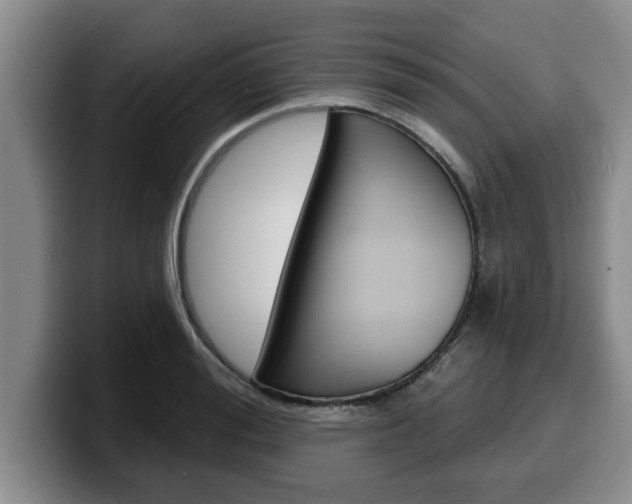 X0000100320988200806051346