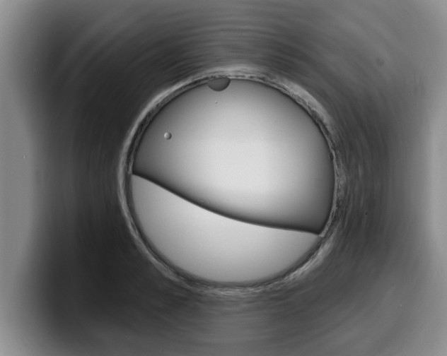 X0000100320989200806051346