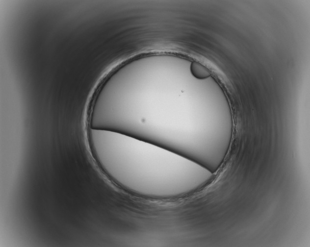 X0000100320990200806051346