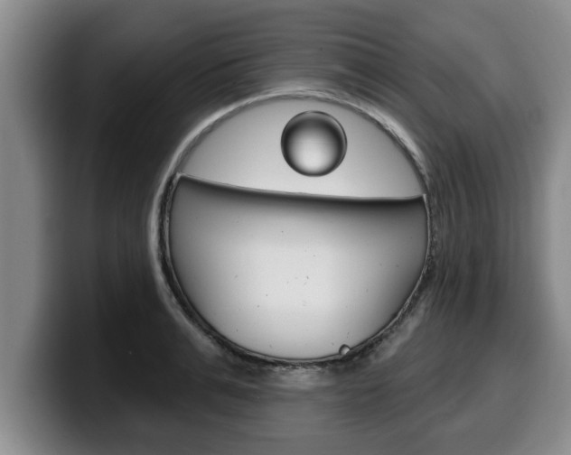 X0000100320991200806051346