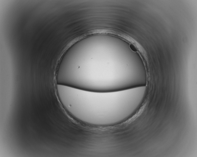 X0000100320993200806051346
