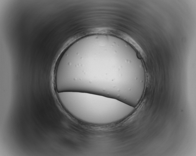 X0000100320994200806051346