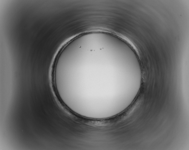 X0000100320995200806051346