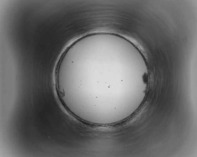 X0000100320998200806051346