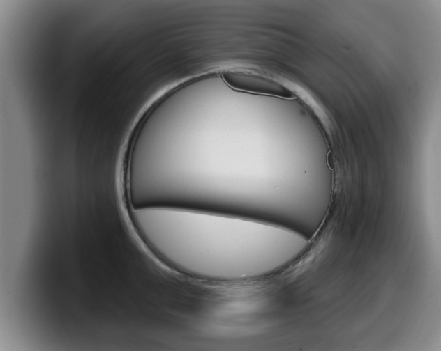X0000100320999200806051346