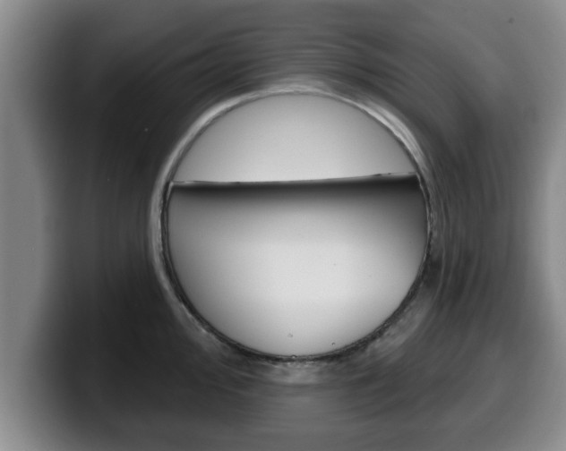 X0000100321000200806051346