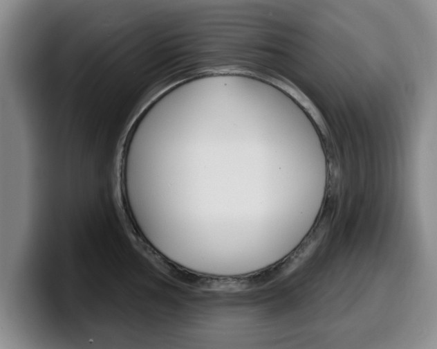 X0000100321002200806051346