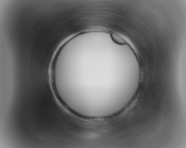 X0000100321003200806051346