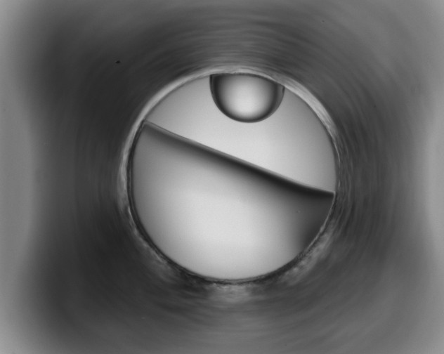 X0000100321004200806051346