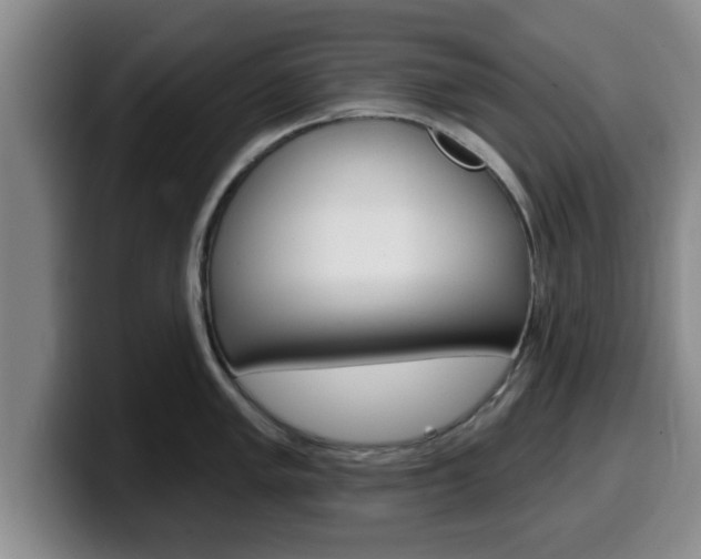 X0000100321005200806051346