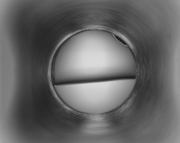 X0000100321007200806051346