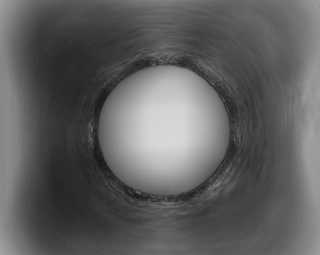 X0000100321010200806051345