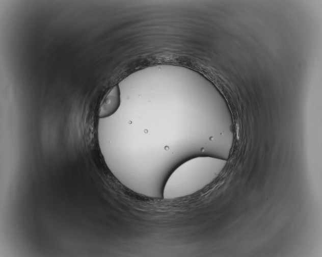 X0000100321011200806051345