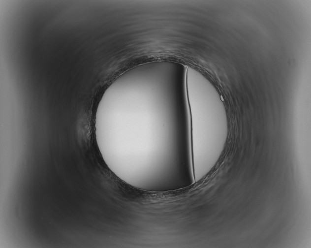 X0000100321012200806051345