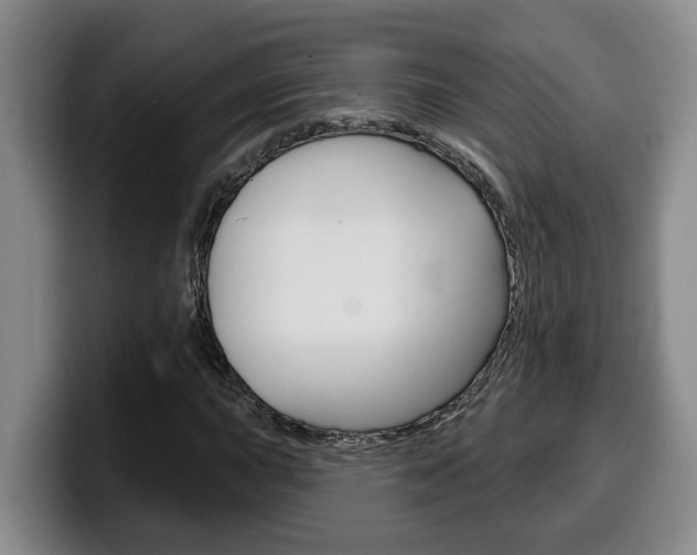 X0000100321015200806051345