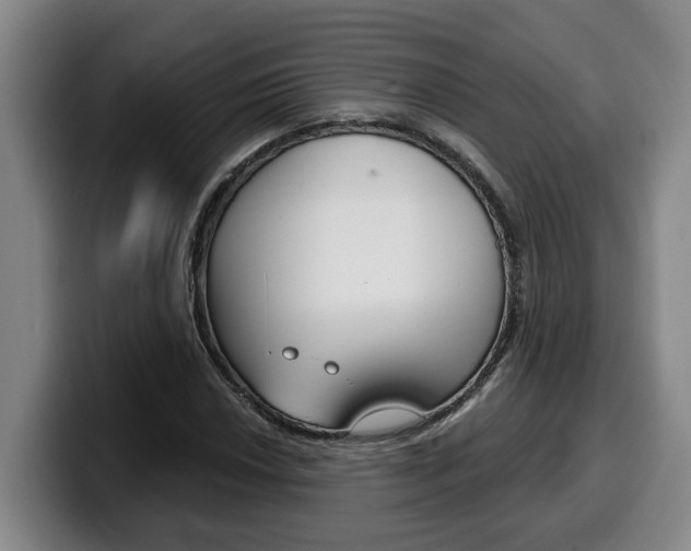 X0000100321018200806051345