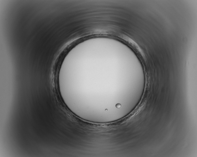 X0000100321019200806051345