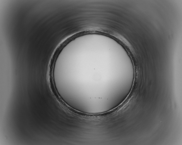 X0000100321020200806051345
