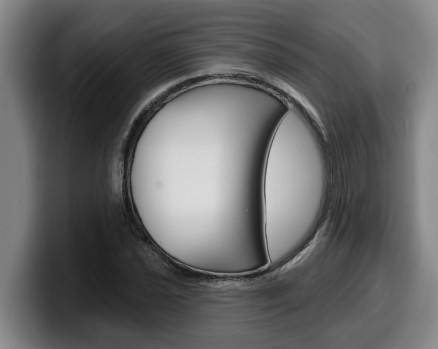 X0000100321021200806051345