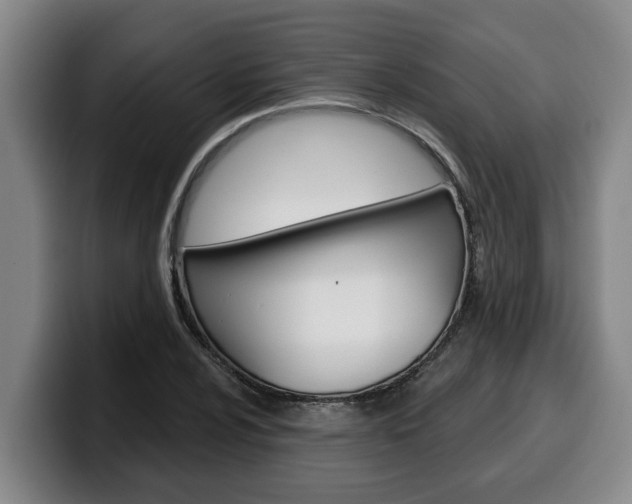 X0000100321024200806051345