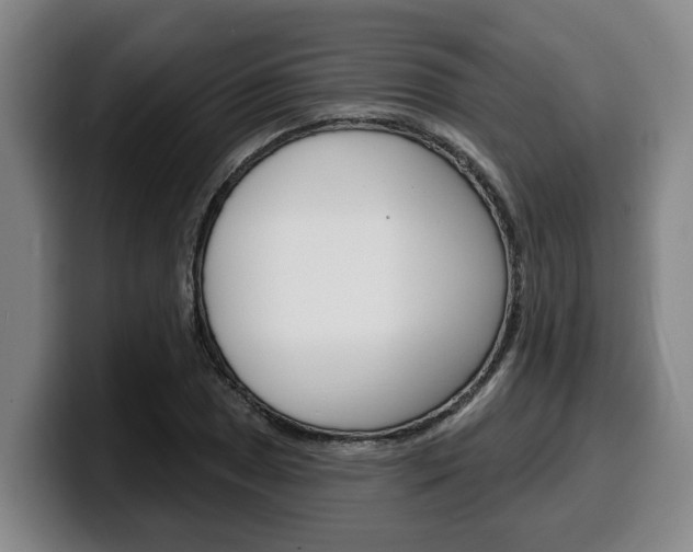 X0000100321025200806051345