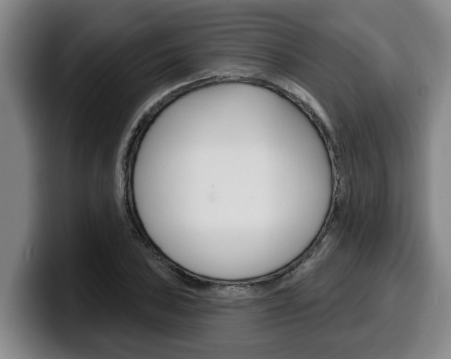 X0000100321027200806051345