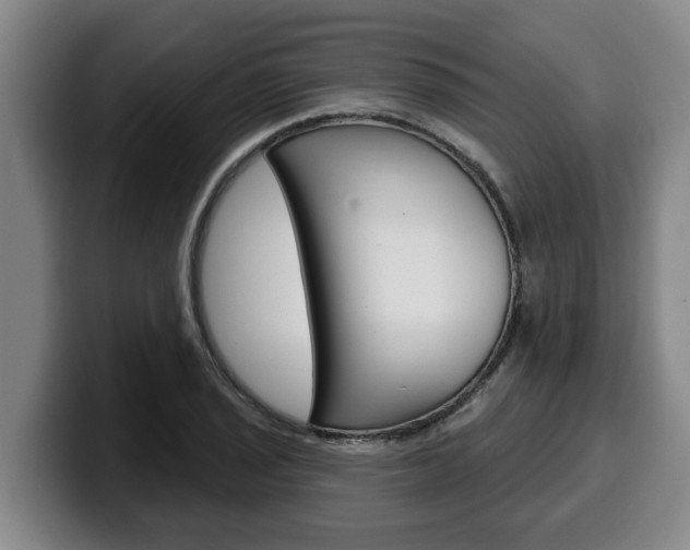 X0000100321029200806051345