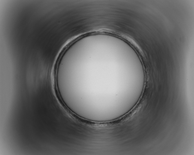 X0000100321032200806051345