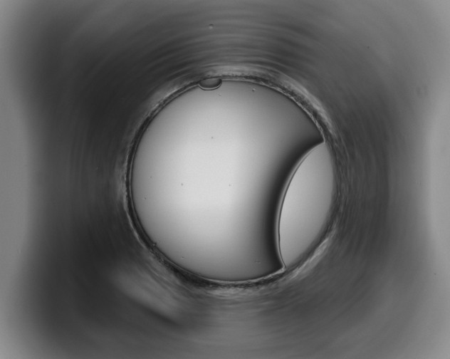X0000100321033200806051345