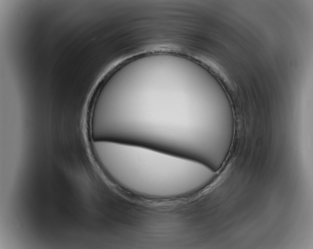 X0000100321038200806051345
