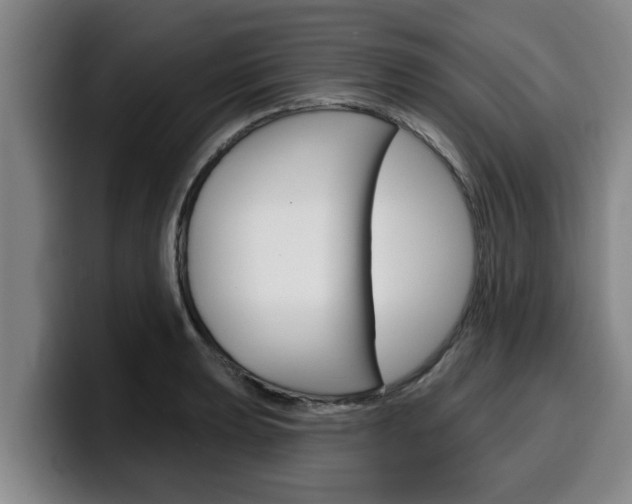 X0000100321039200806051345