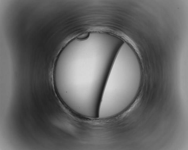X0000100321041200806051345