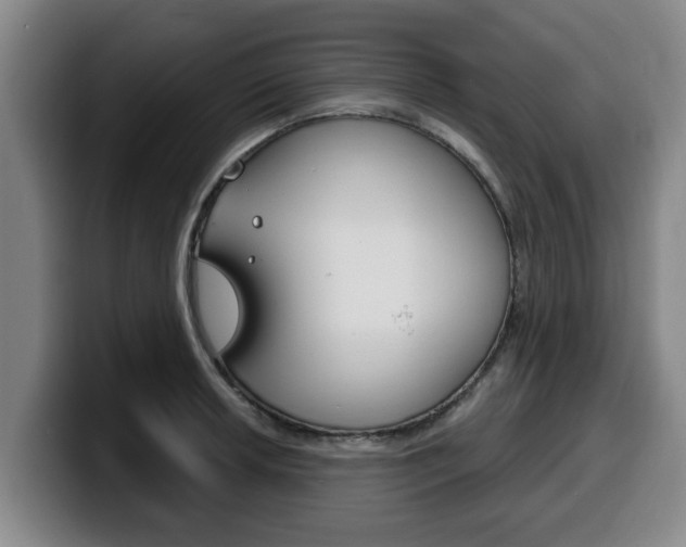 X0000100321042200806051345