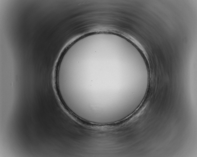 X0000100321045200806051346