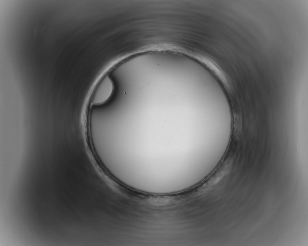 X0000100321046200806051346