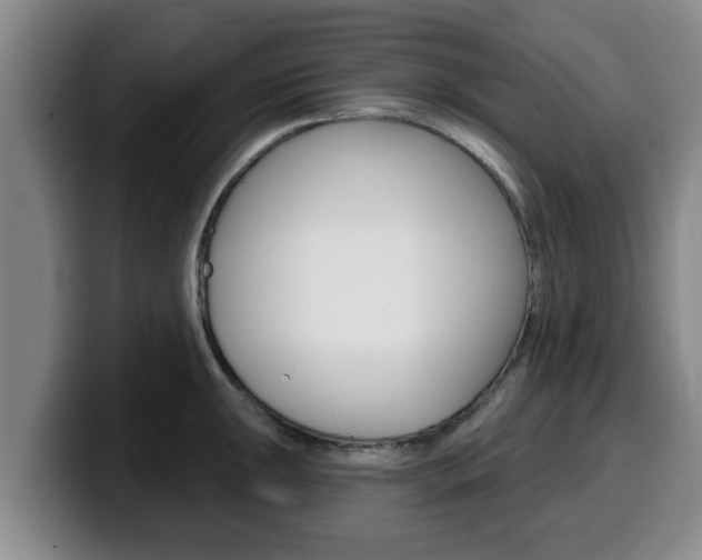 X0000100321047200806051346