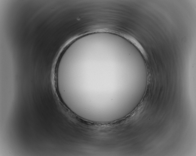 X0000100321051200806051346