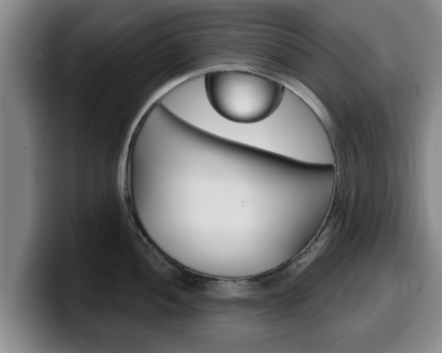 X0000100321052200806051346